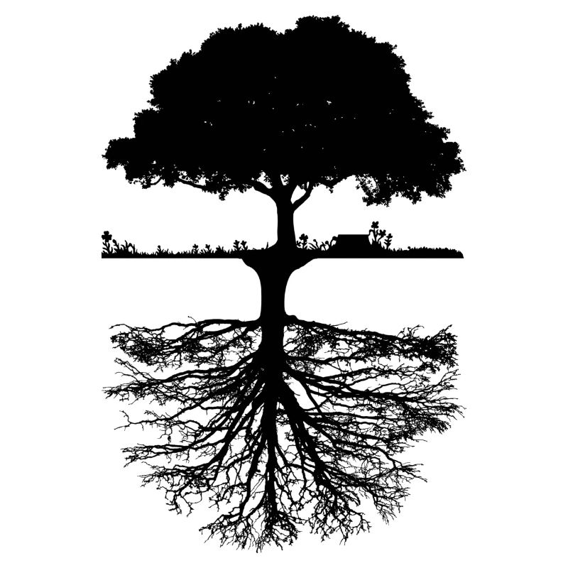 Baum