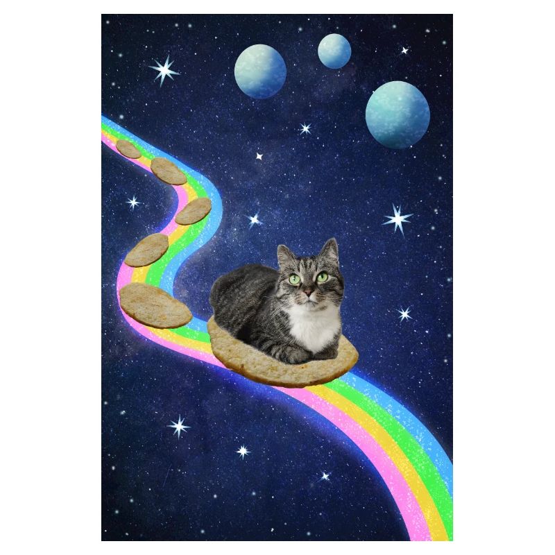 Chat mignon dans l’espace