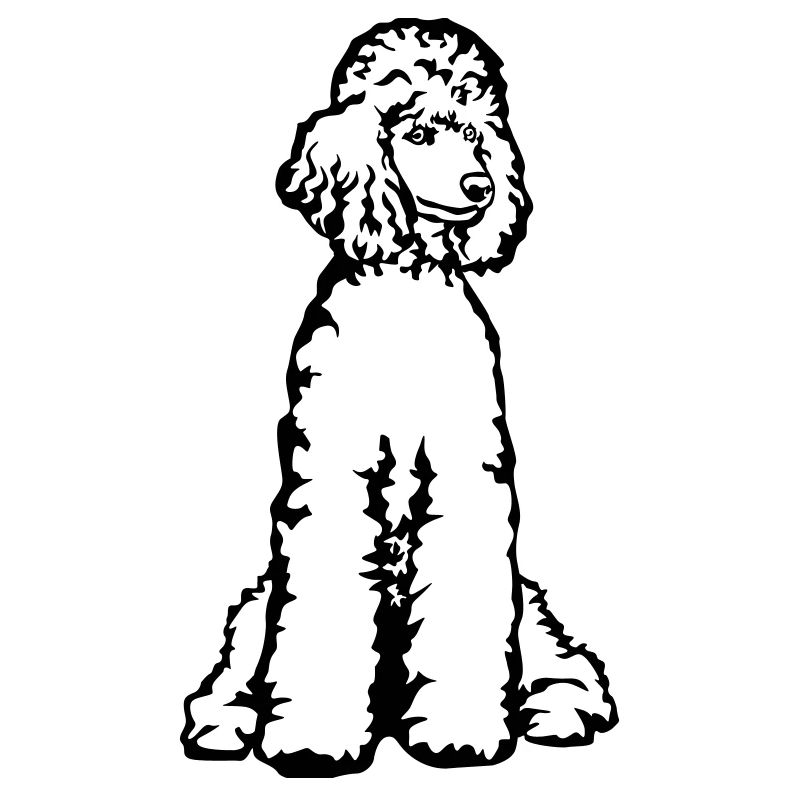 Poodle