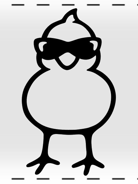 Cool Chick