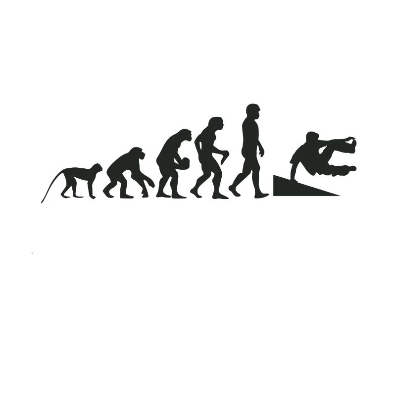 Inliner evolution
