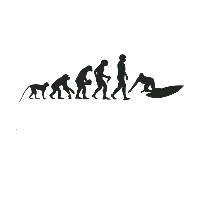Surf evolution