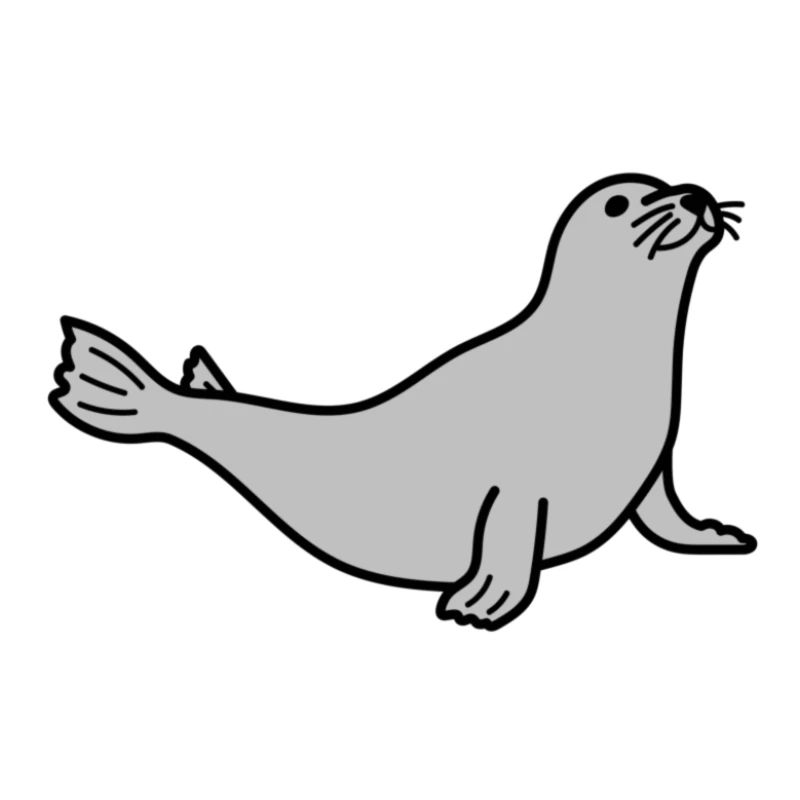 Conception de phoque marin