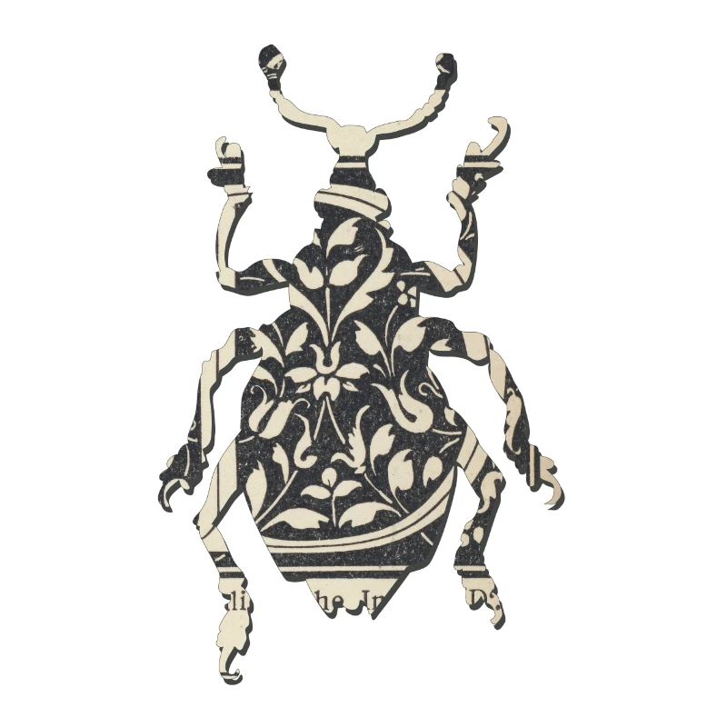 Rüsselkäfer