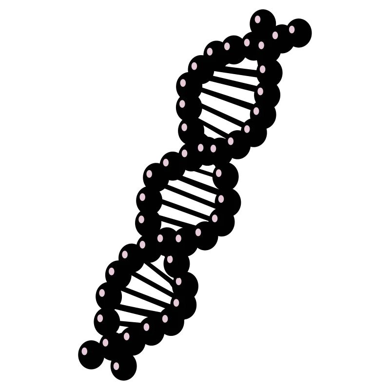 DNA