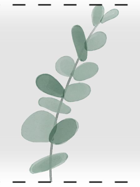 Eukalyptus