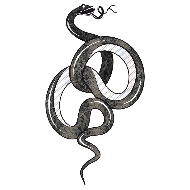 Serpent fascinant dans une structure brillante noire
