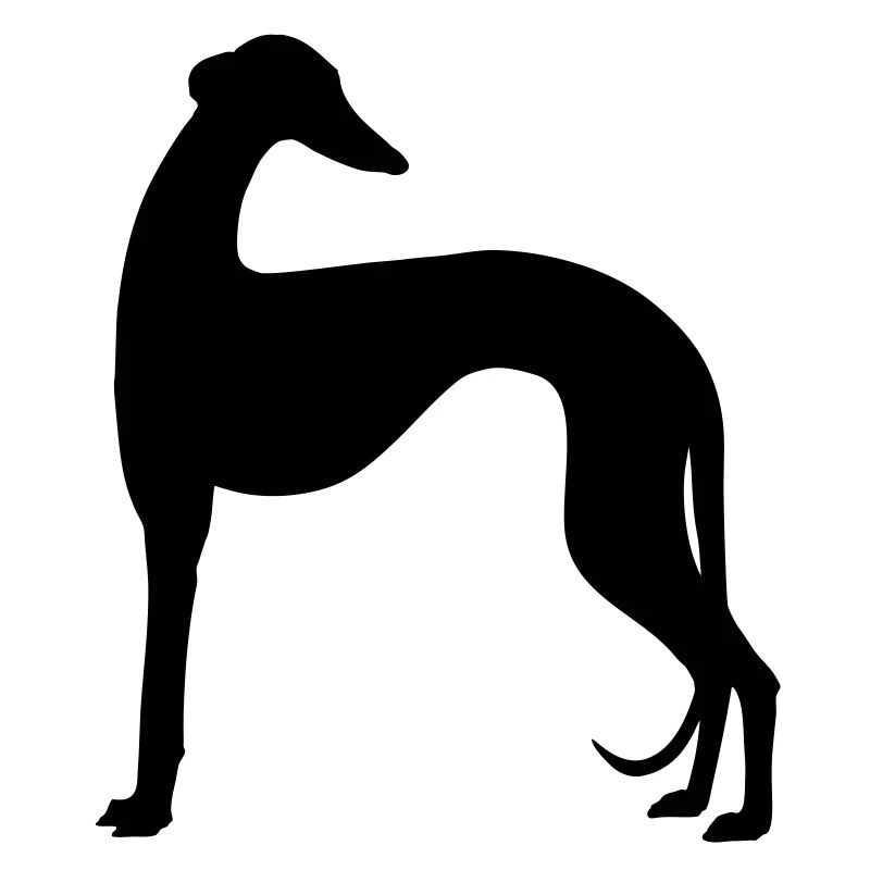galgo shape2