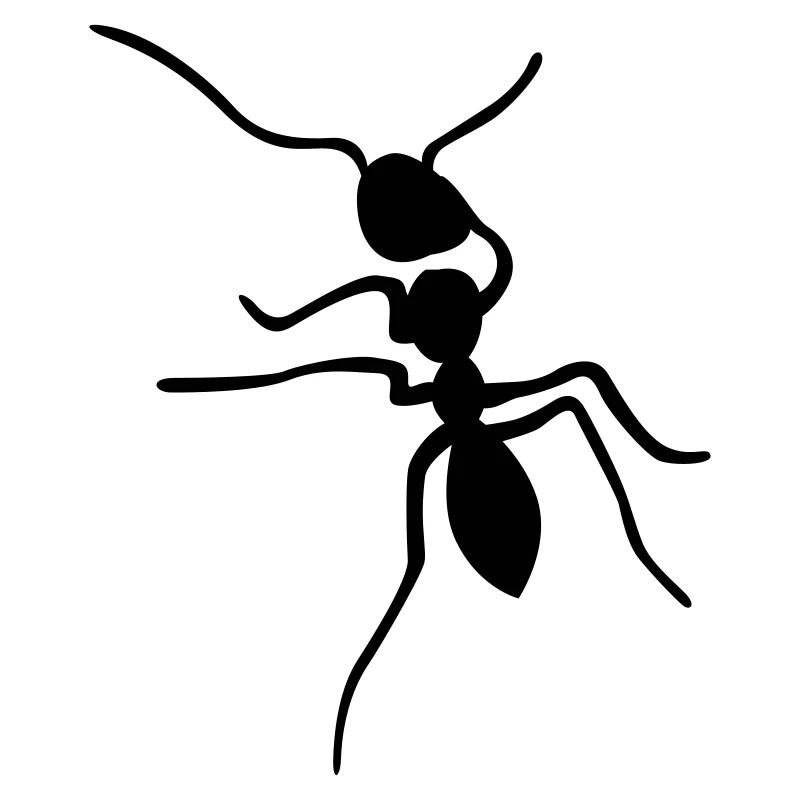 ant