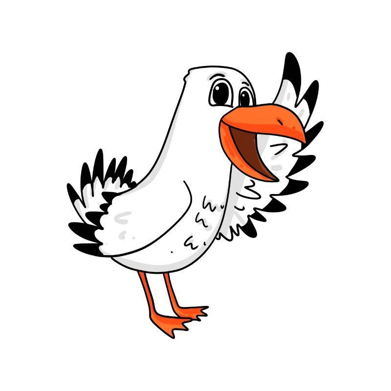 Möwe Seemöwe Küste Meer