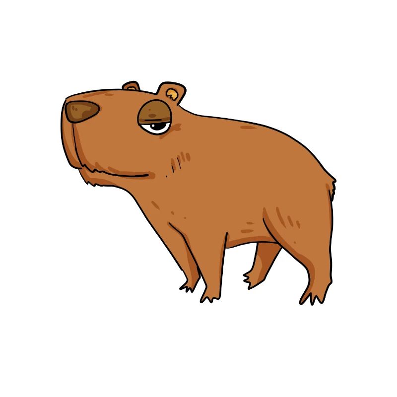 Capybara Père Capybara