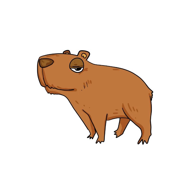 Capybara Mädchen Spruch