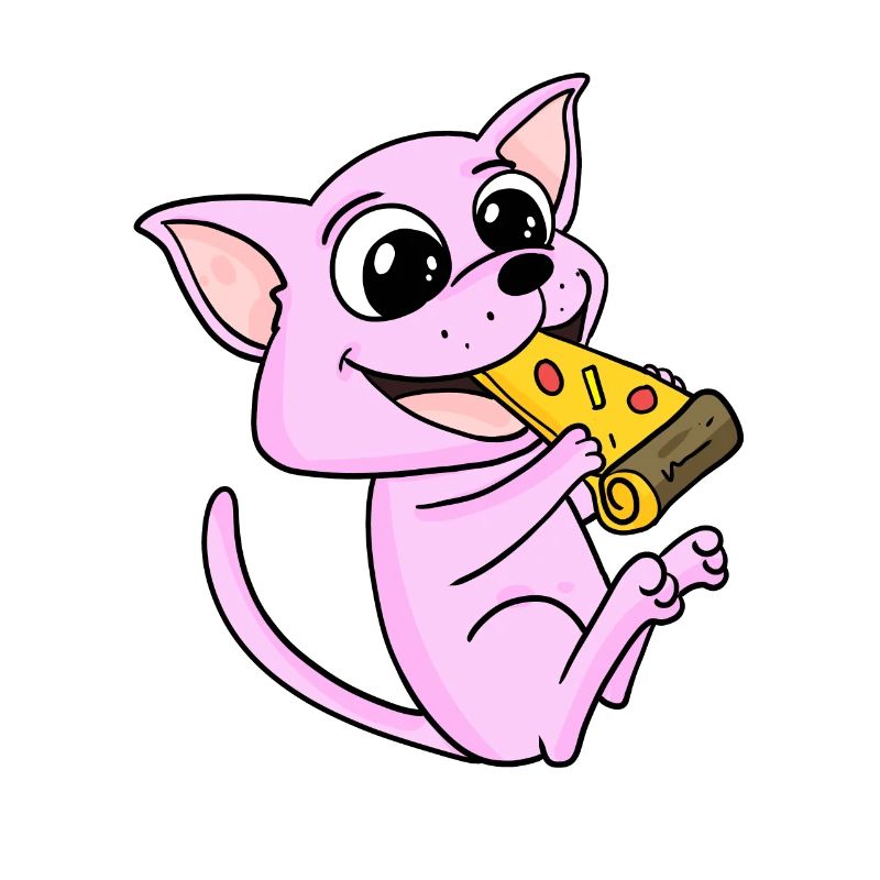 Pizza au chat Sphynx
