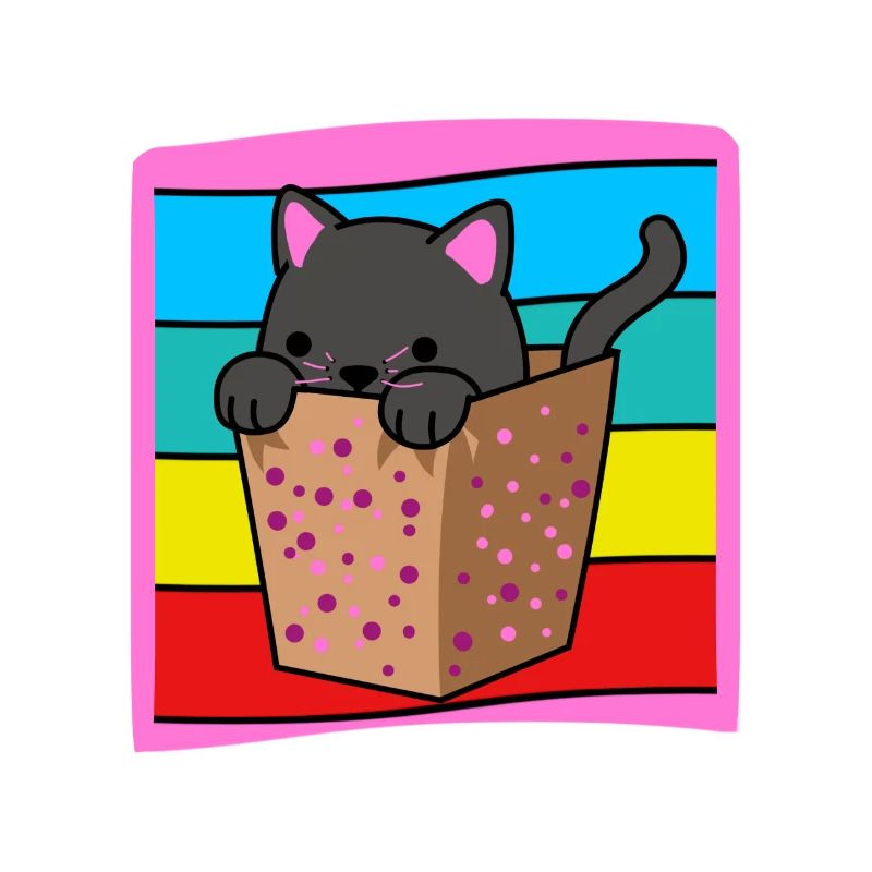 Chat dans une boîte