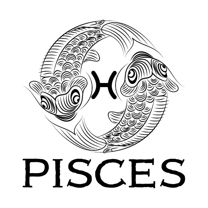pisces1s Plan de travail 1