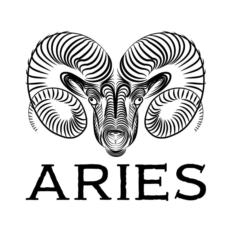 Plan de travail d’aries1s 1