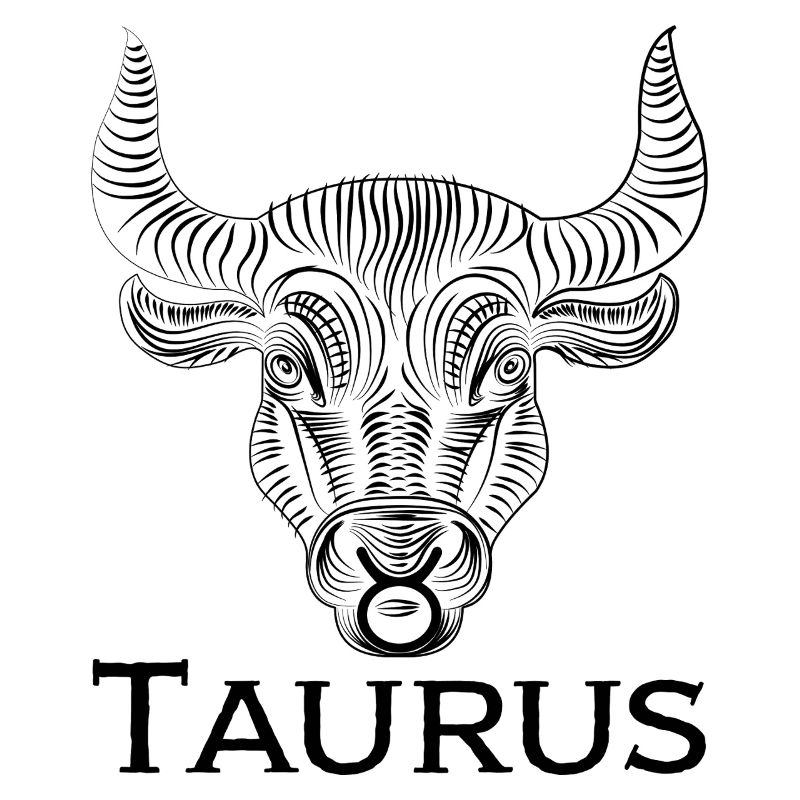 taurus1s Plan de travail 1