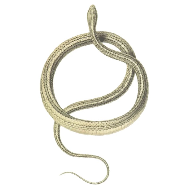 serpent
