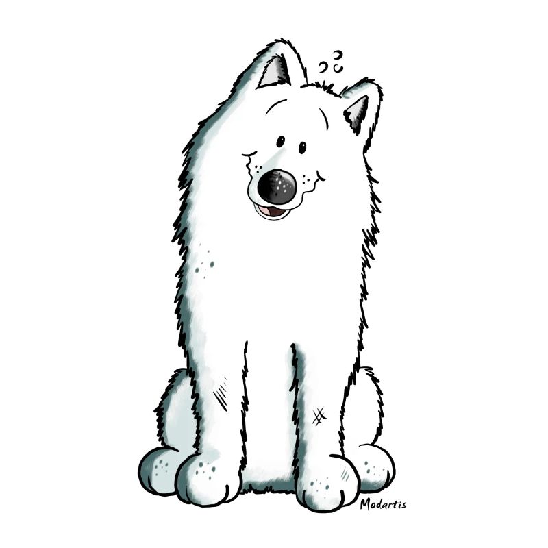 Cute Samoyed
