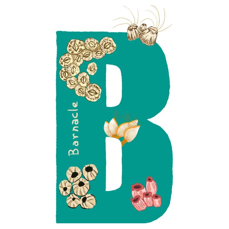 Lettre B avec éléments naturels Bleu Vert