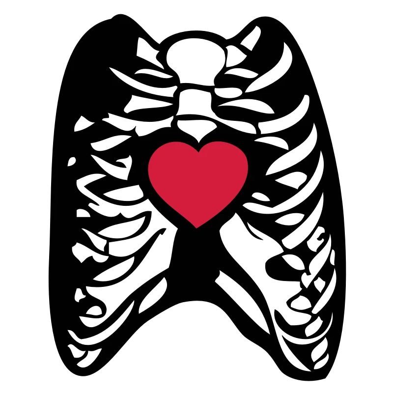 Skeul human skeleton human heart