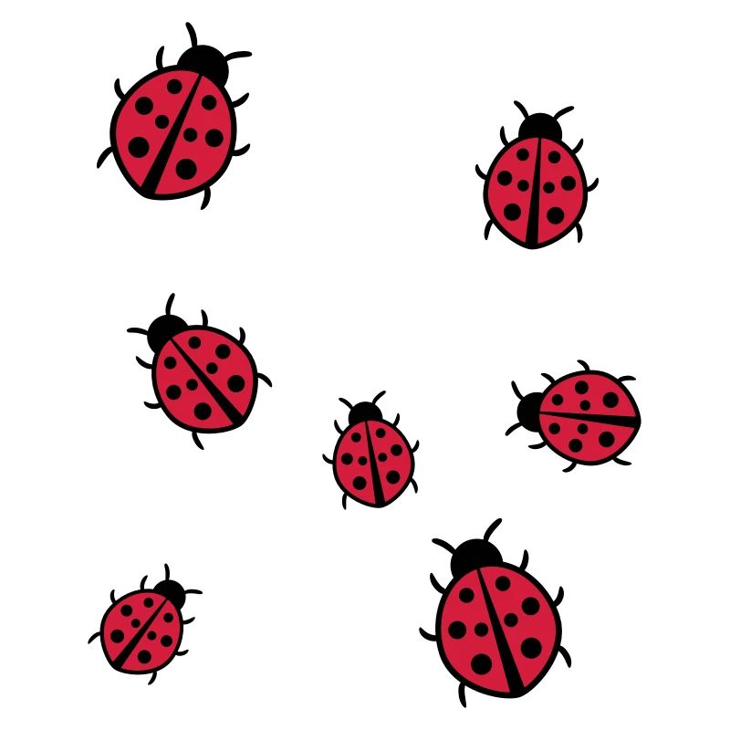 Little Ladybug