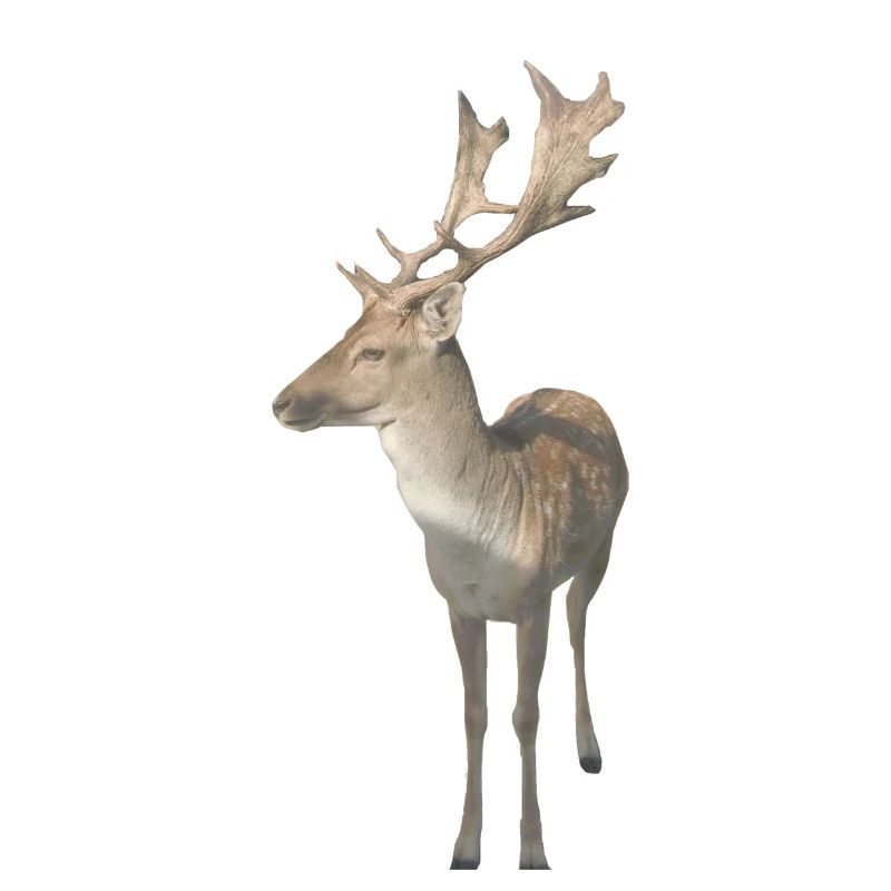 Cerf