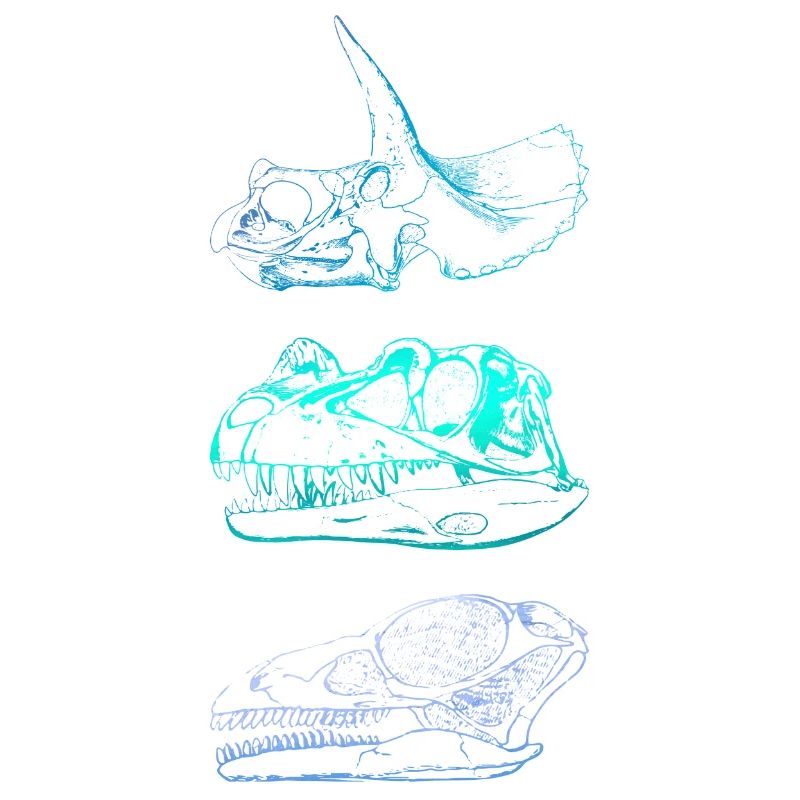 Dinosaur Skulls
