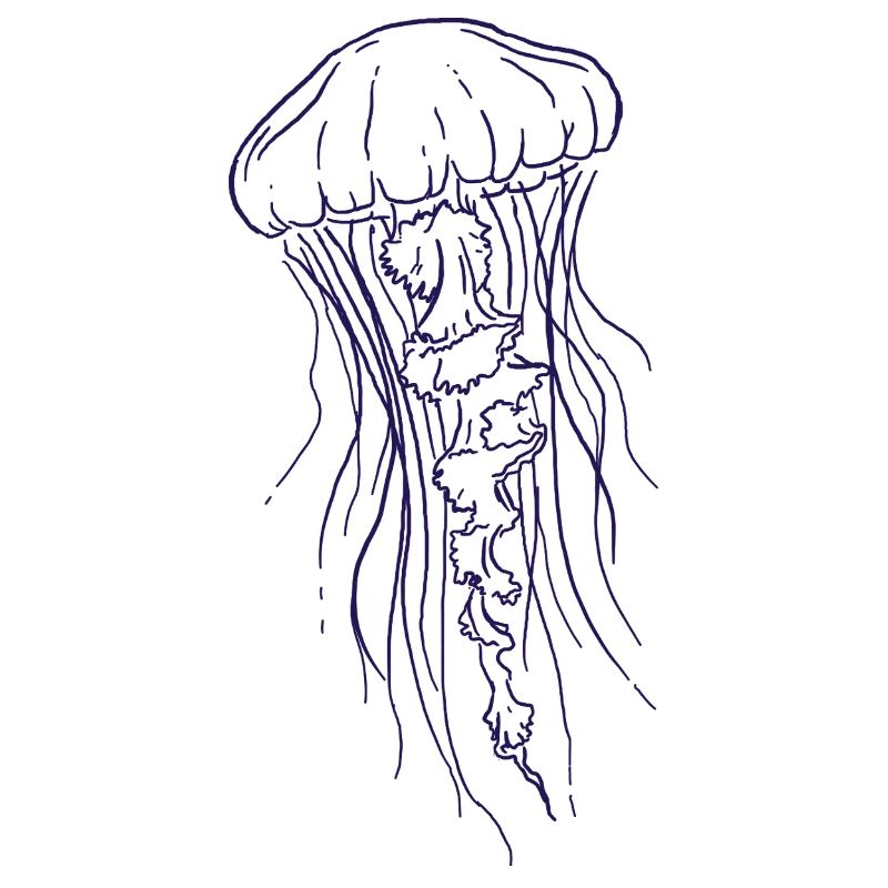 Illustration d’art au trait de méduse
