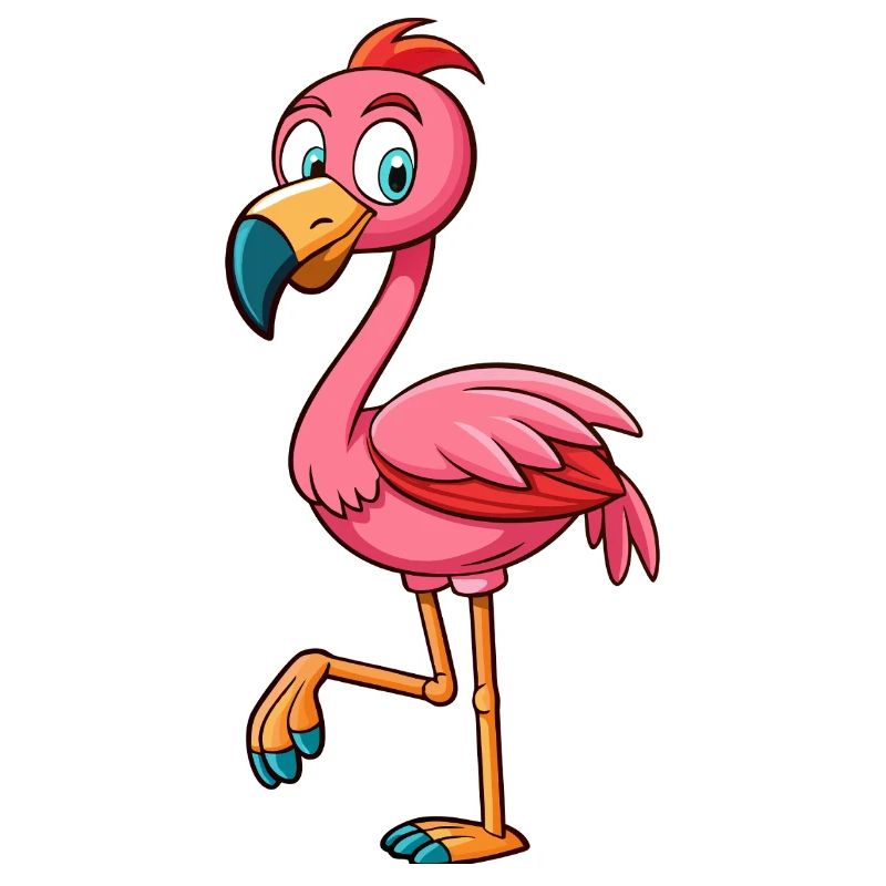 Flamingo