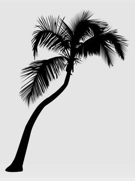 Palme