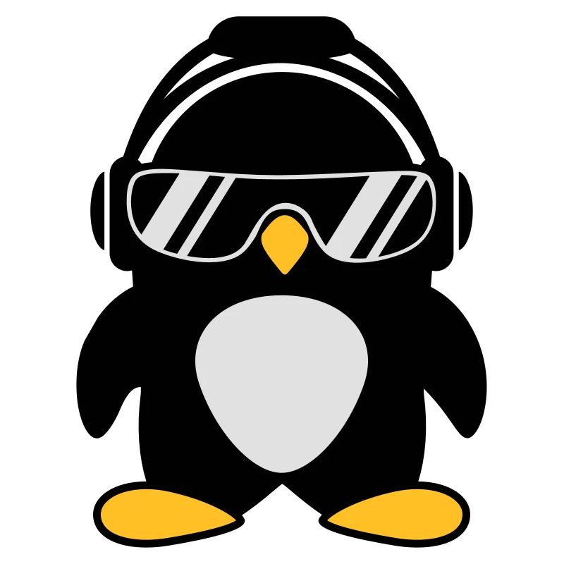 Pingouin avec un casque