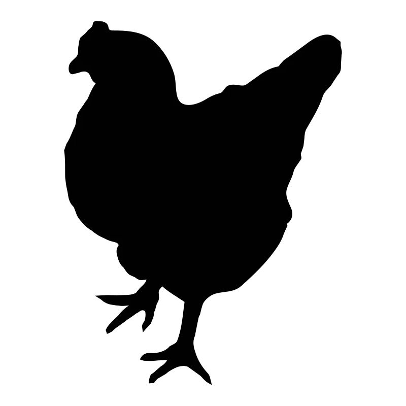 chicken
