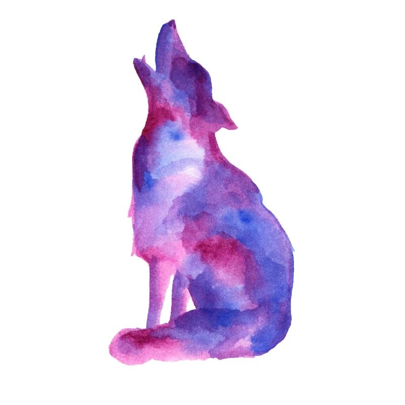 Galaxy Wolf