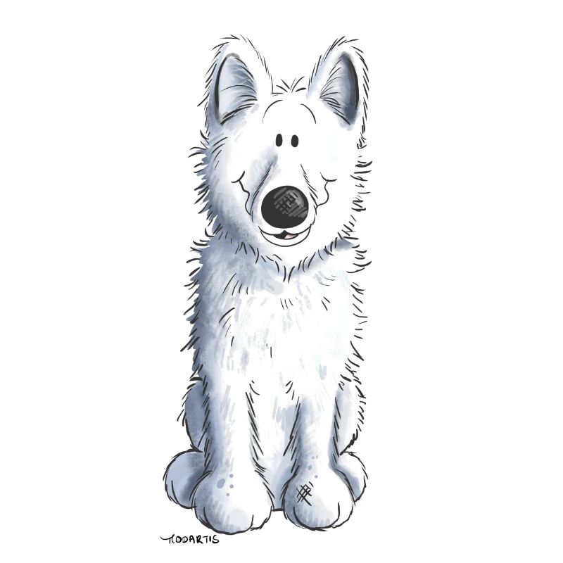 Schweizer Schäferhund