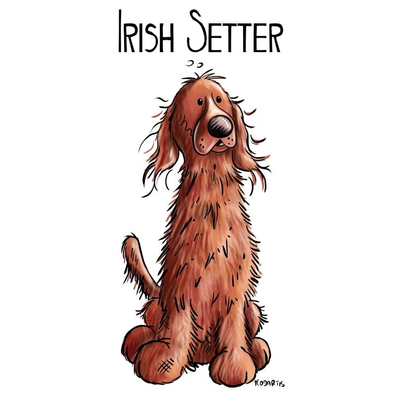 Fröhlicher Irish Setter