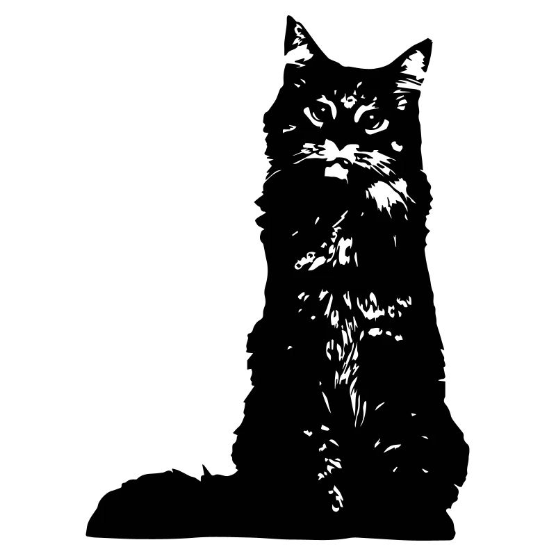 katze