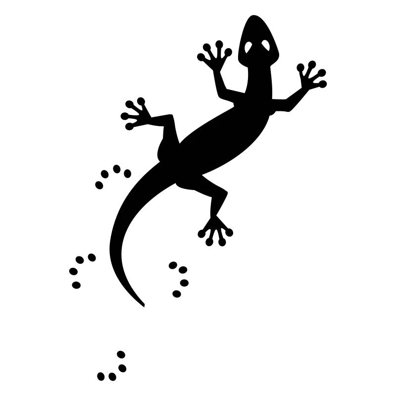 gecko_1