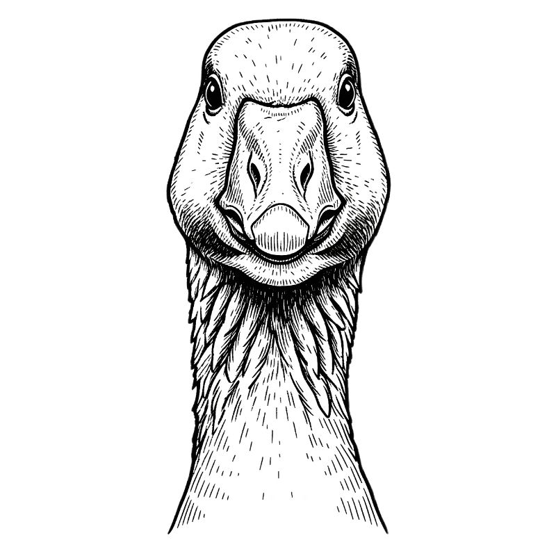 Gans
