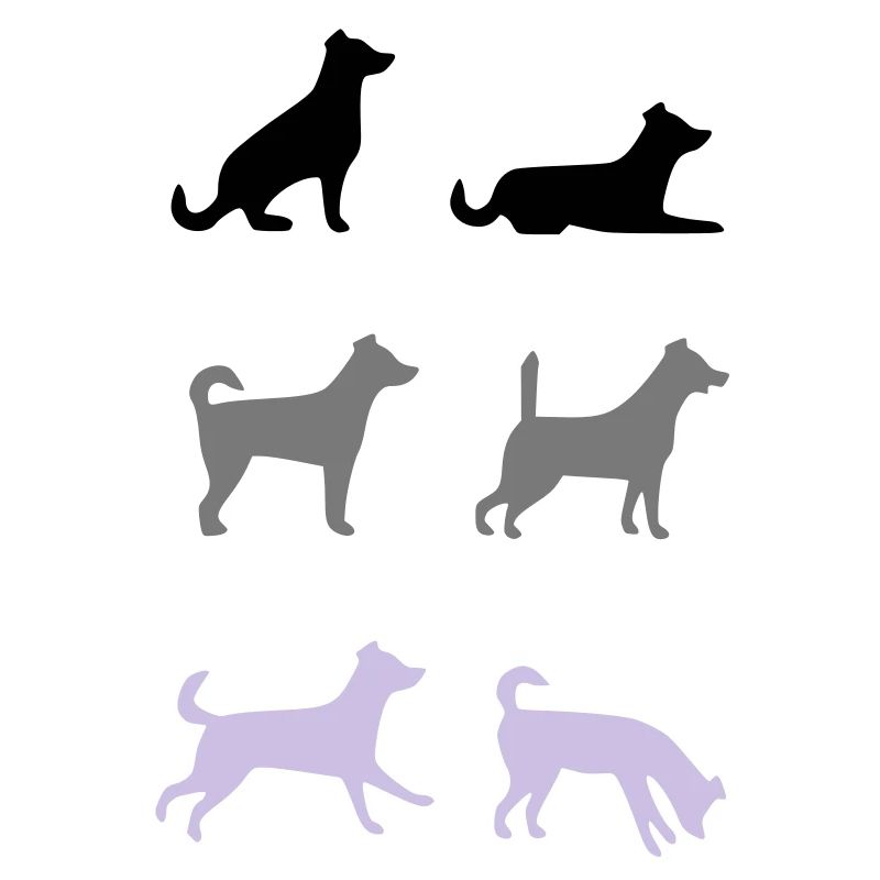 6 chiens