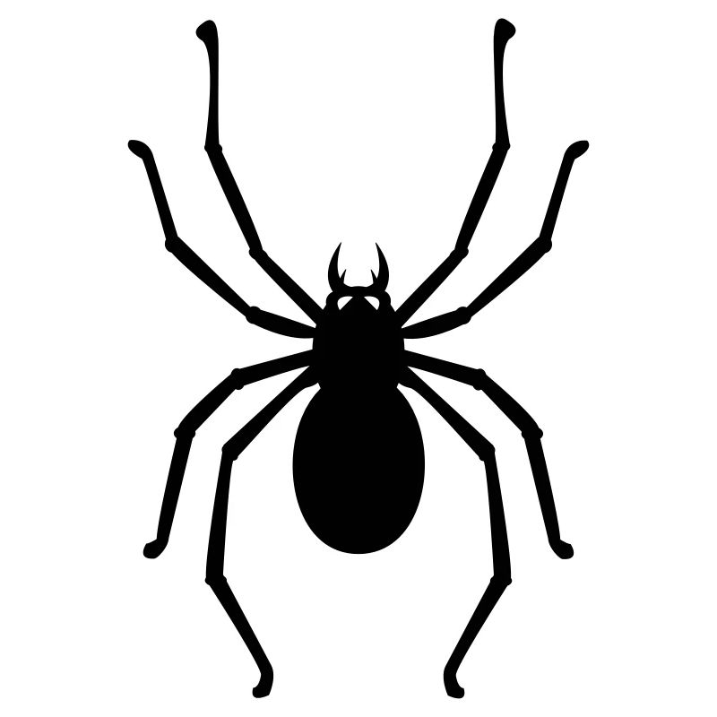 Spinne