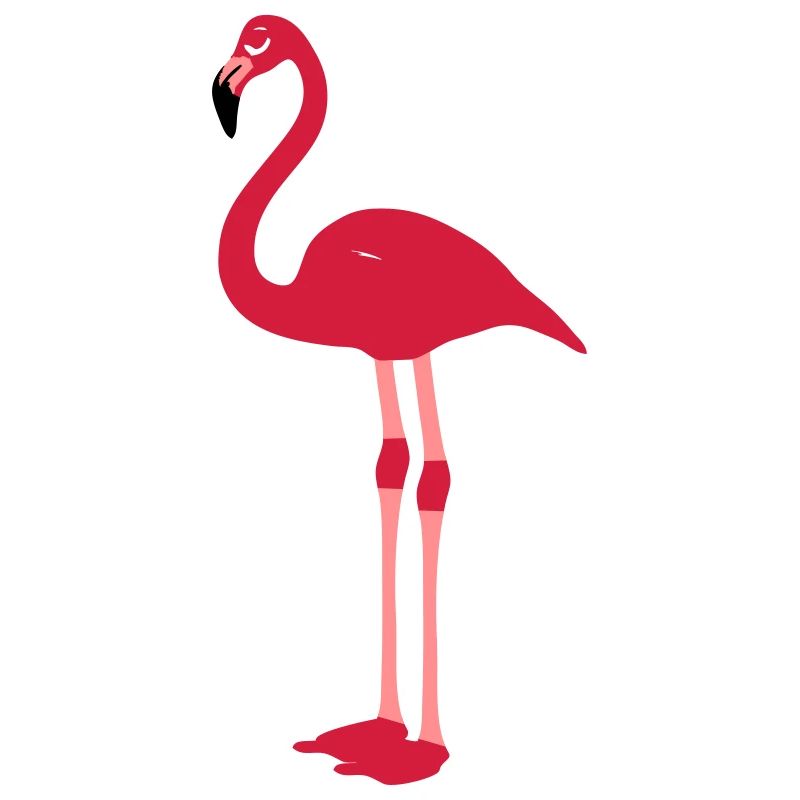 flamingo