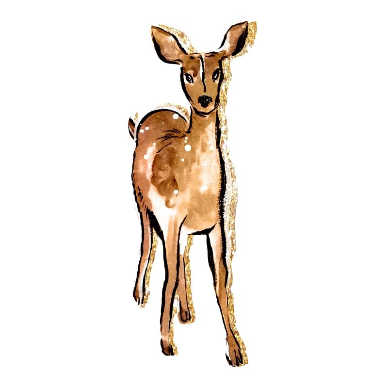 Cerf mignon dessiné à la main
