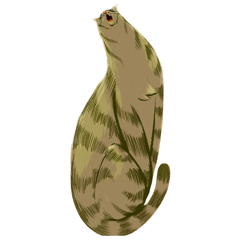 Olive Mou