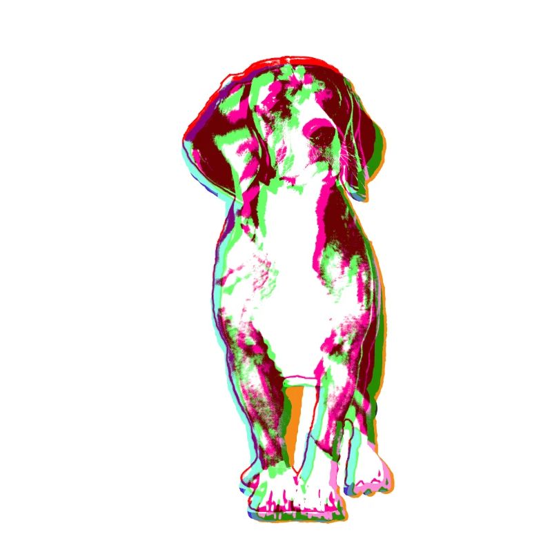 Beagle