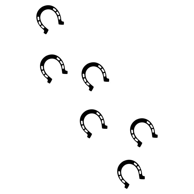 bourrin fer à cheval