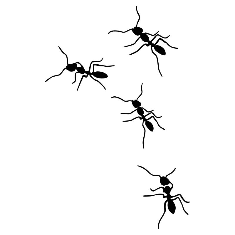 fourmis