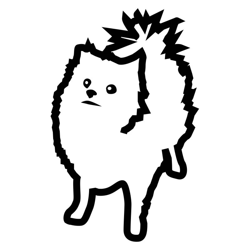 Spitz
