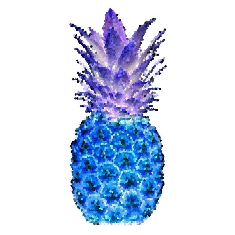 ANANAS MOSAIC nuit