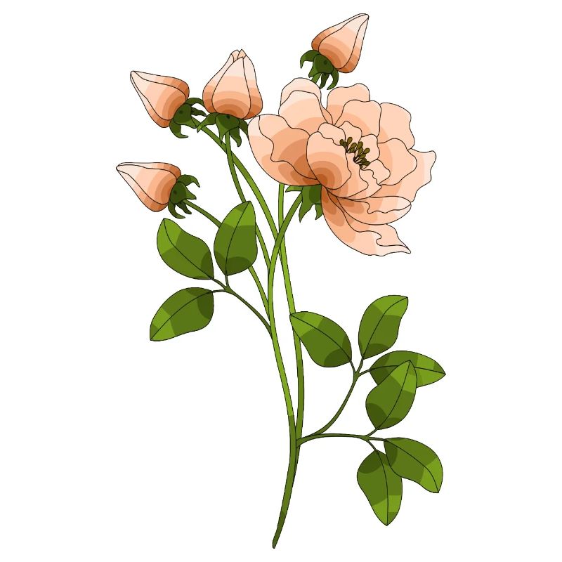 Fleur